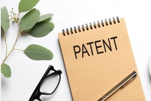patent notebook with plant