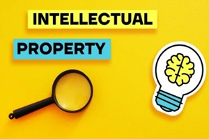 intellectual property rights law and protection are shown using the text